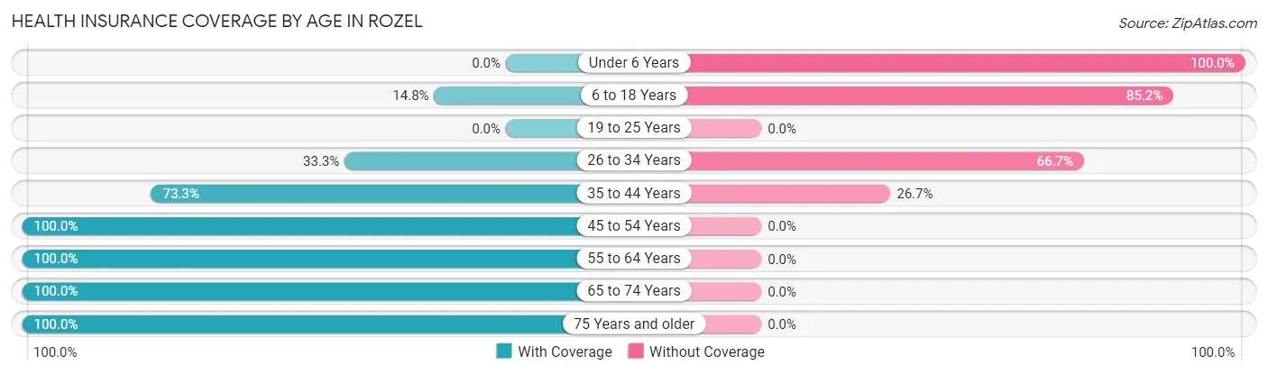Health Insurance Coverage by Age in Rozel