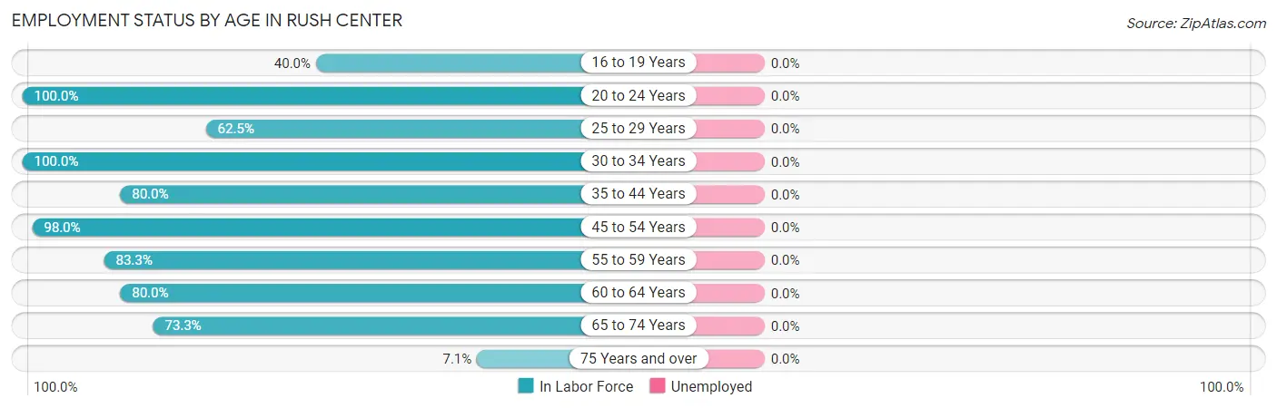 Employment Status by Age in Rush Center
