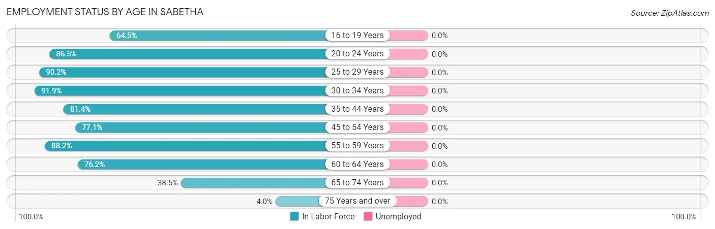 Employment Status by Age in Sabetha