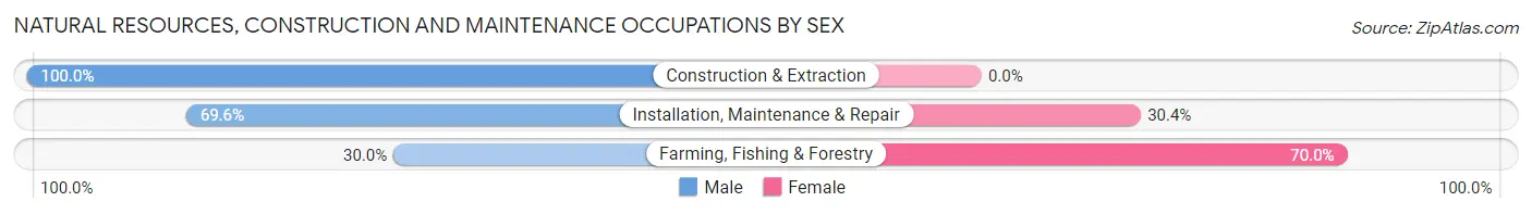 Natural Resources, Construction and Maintenance Occupations by Sex in Sabetha