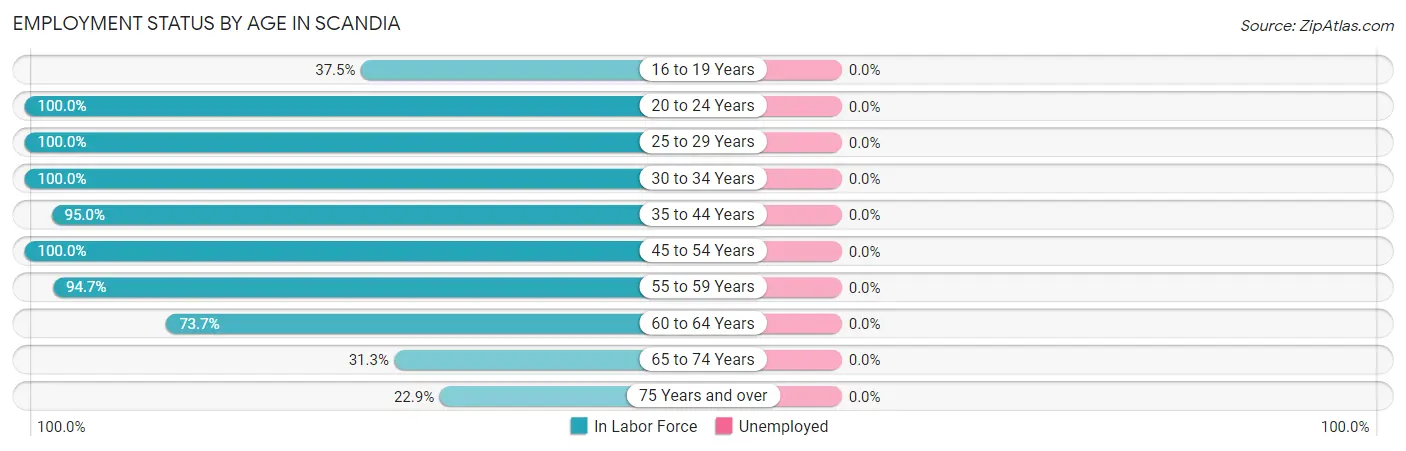 Employment Status by Age in Scandia