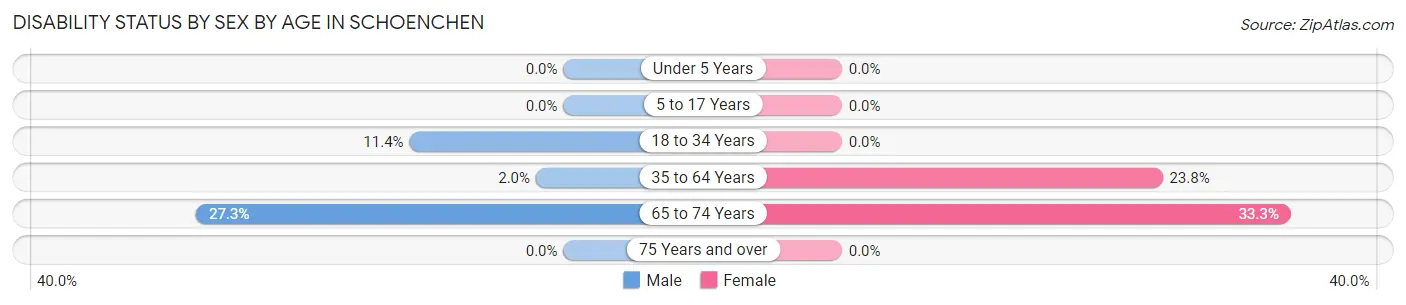 Disability Status by Sex by Age in Schoenchen