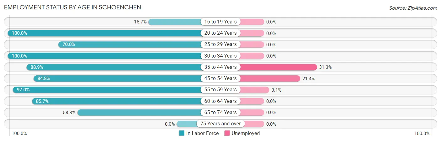 Employment Status by Age in Schoenchen