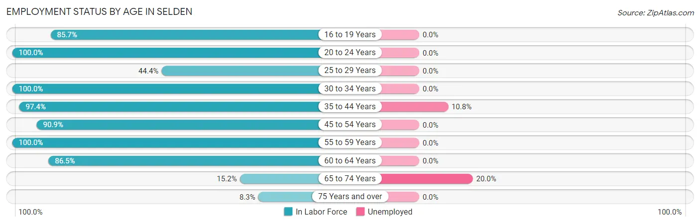 Employment Status by Age in Selden