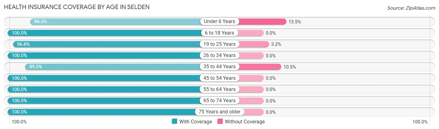 Health Insurance Coverage by Age in Selden