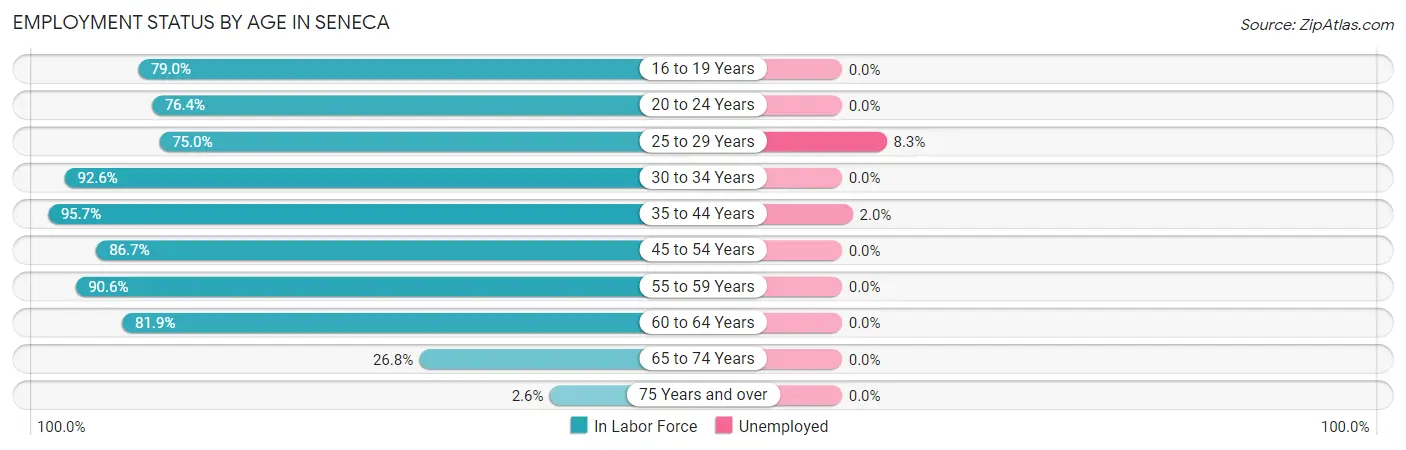 Employment Status by Age in Seneca