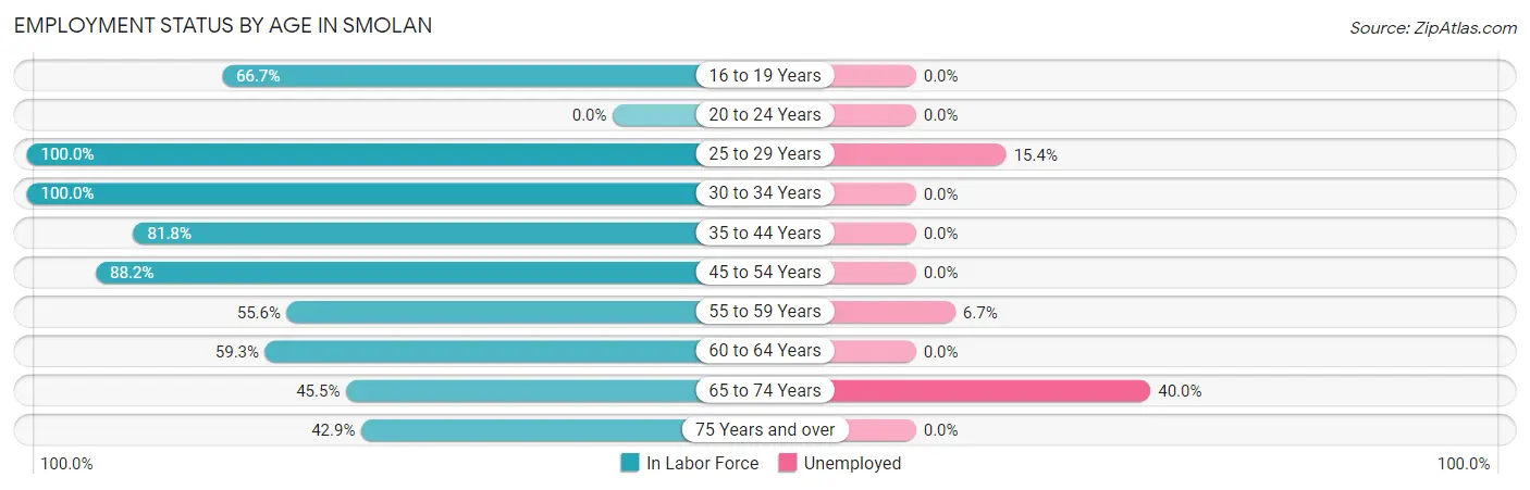 Employment Status by Age in Smolan