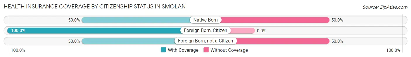 Health Insurance Coverage by Citizenship Status in Smolan