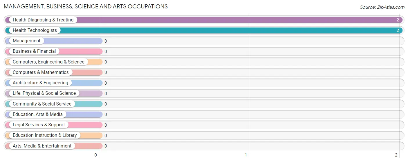 Management, Business, Science and Arts Occupations in Soldier