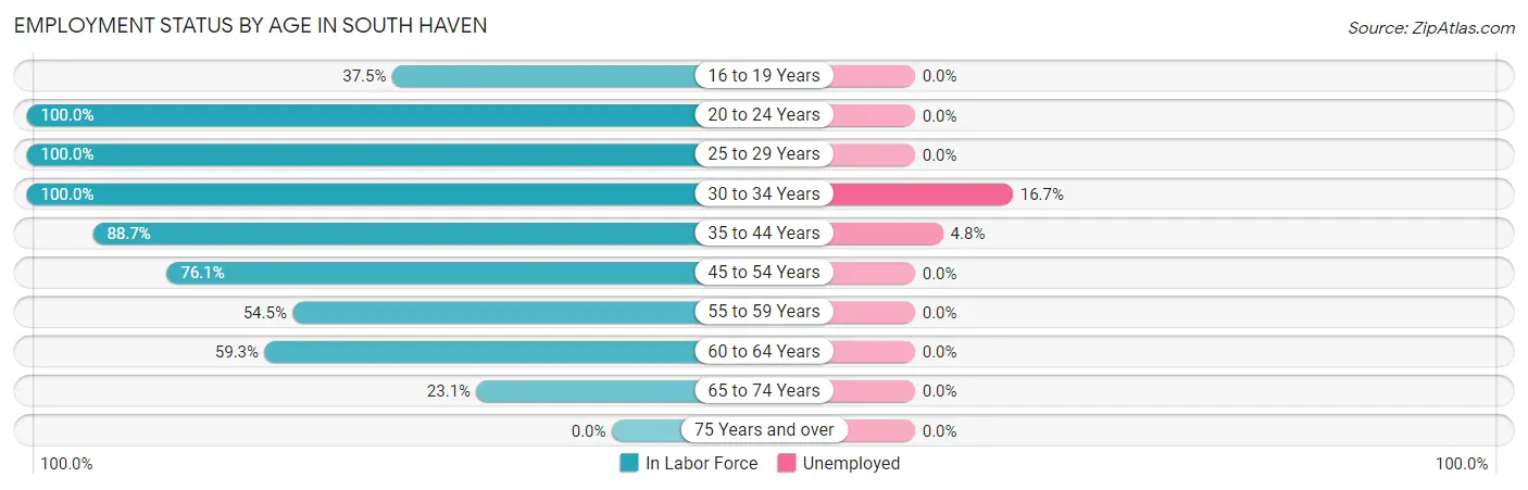 Employment Status by Age in South Haven