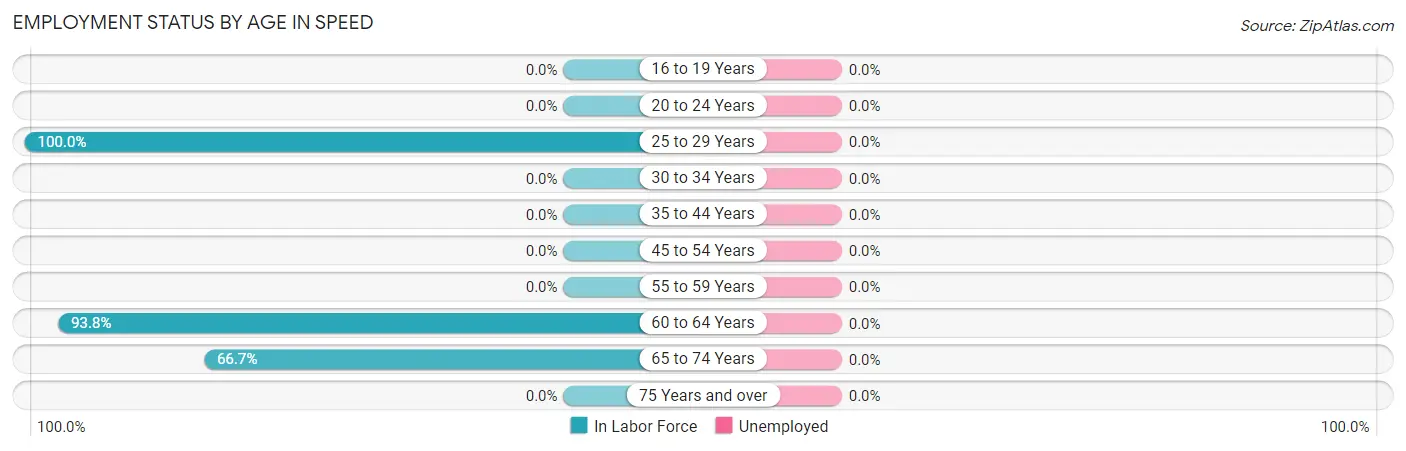 Employment Status by Age in Speed