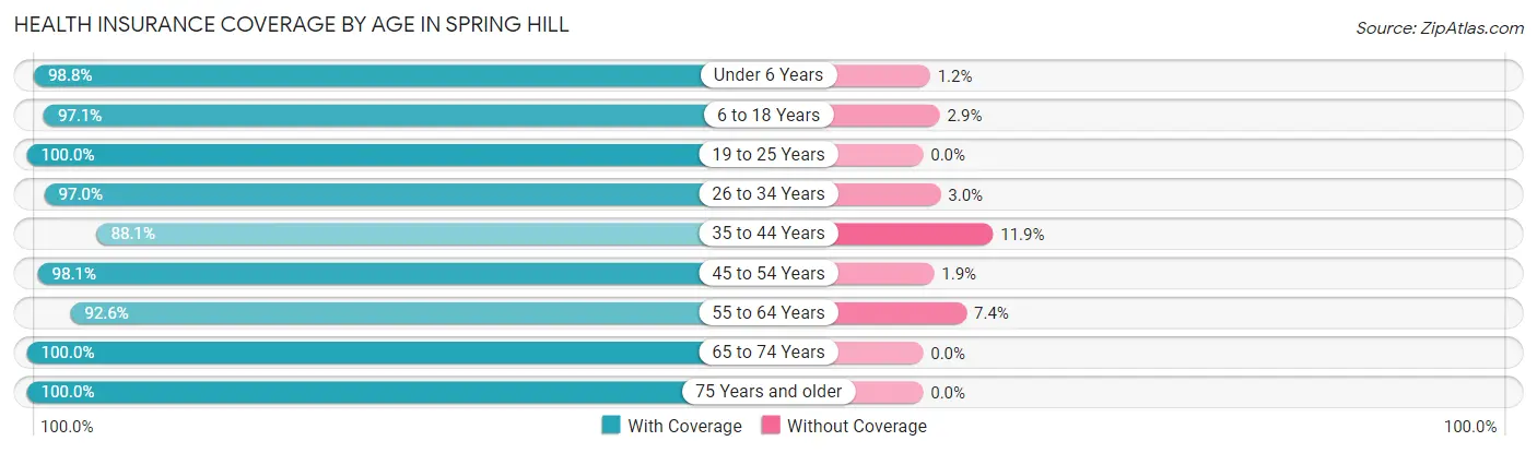 Health Insurance Coverage by Age in Spring Hill