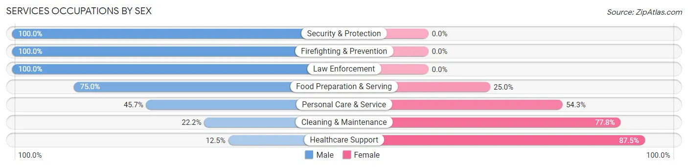 Services Occupations by Sex in St George