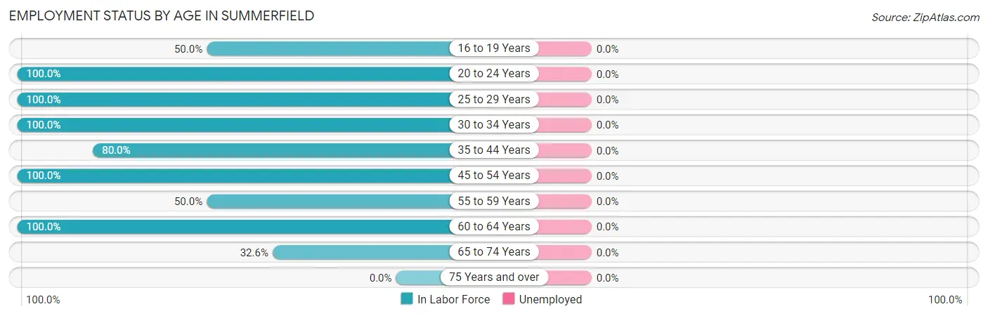 Employment Status by Age in Summerfield