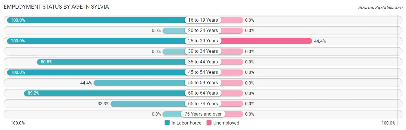 Employment Status by Age in Sylvia