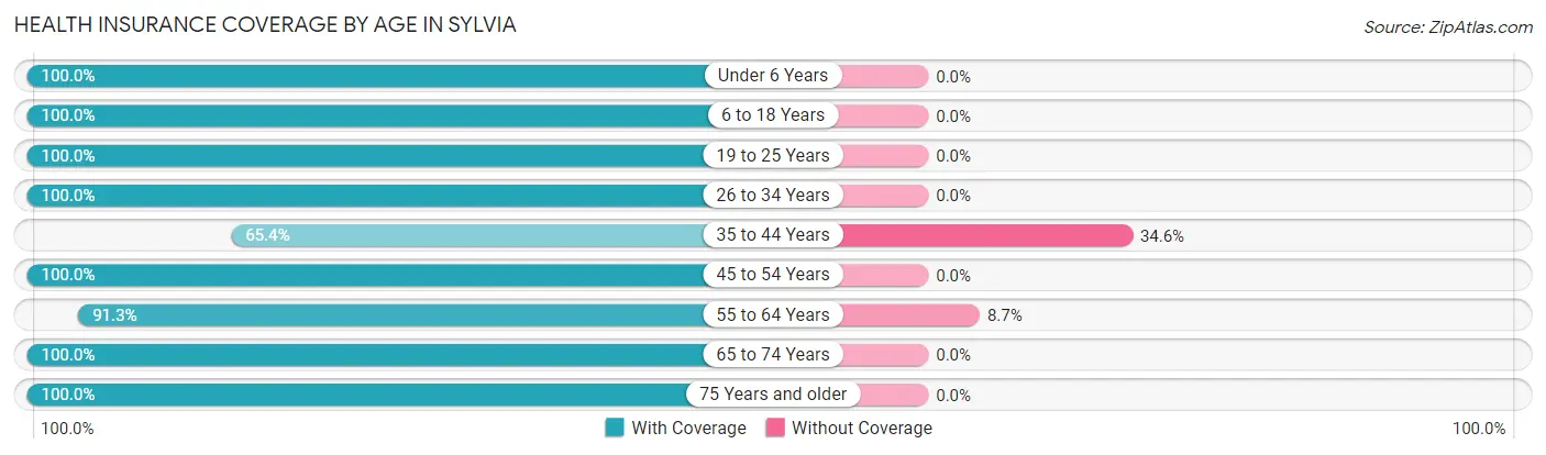 Health Insurance Coverage by Age in Sylvia