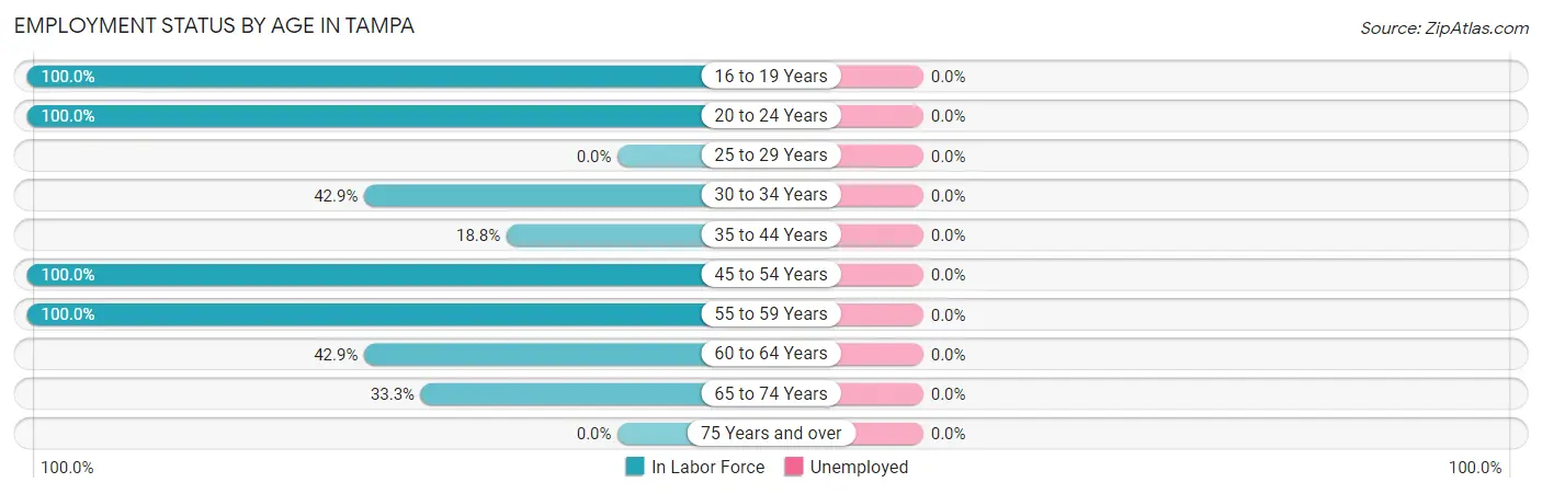 Employment Status by Age in Tampa