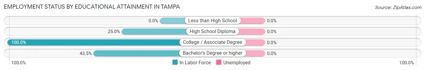 Employment Status by Educational Attainment in Tampa