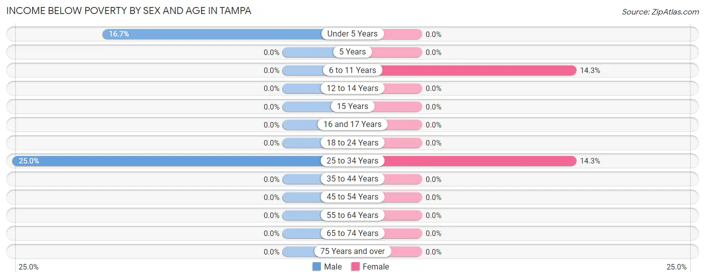 Income Below Poverty by Sex and Age in Tampa