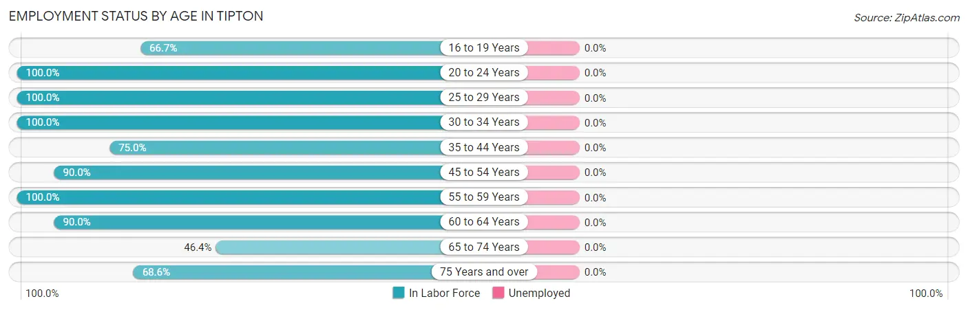 Employment Status by Age in Tipton