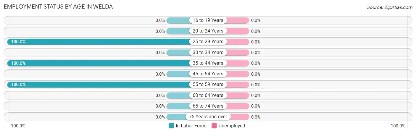 Employment Status by Age in Welda