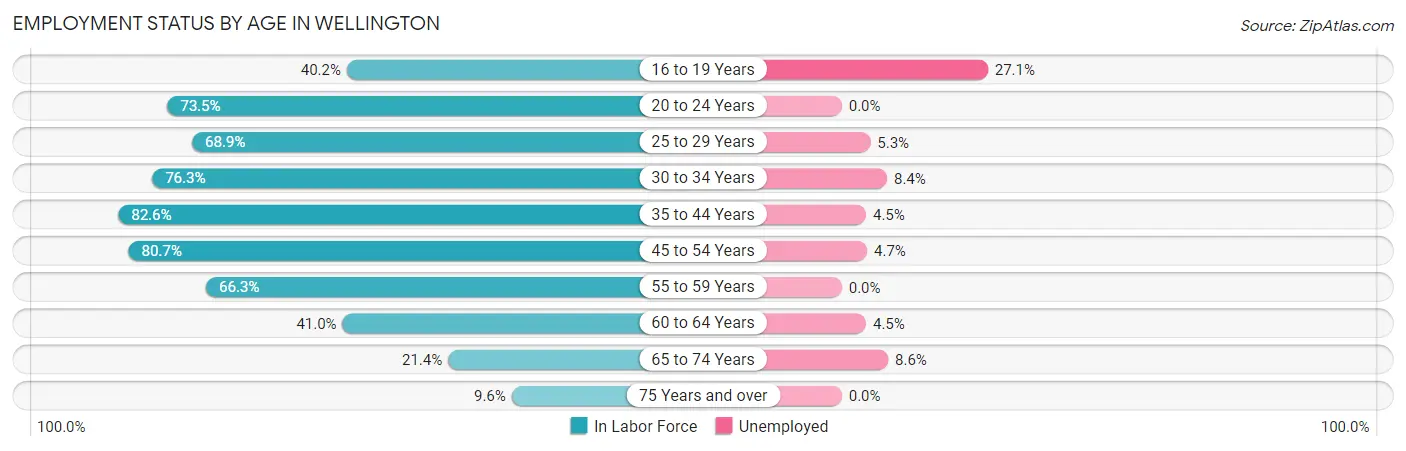 Employment Status by Age in Wellington