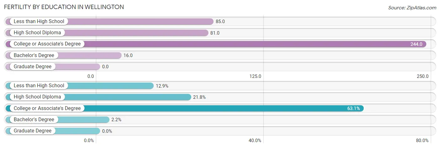 Female Fertility by Education Attainment in Wellington