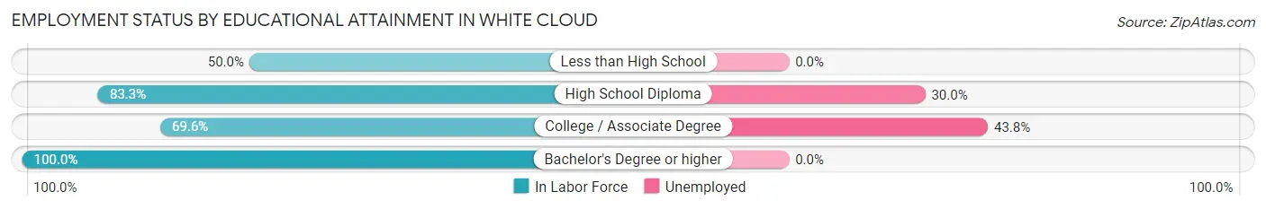 Employment Status by Educational Attainment in White Cloud