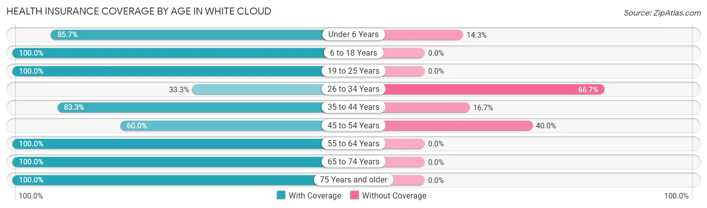 Health Insurance Coverage by Age in White Cloud