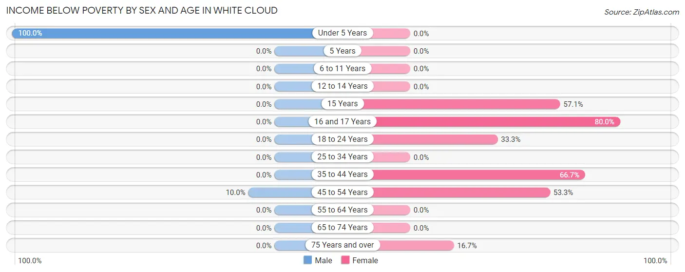 Income Below Poverty by Sex and Age in White Cloud