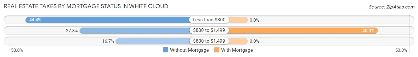 Real Estate Taxes by Mortgage Status in White Cloud