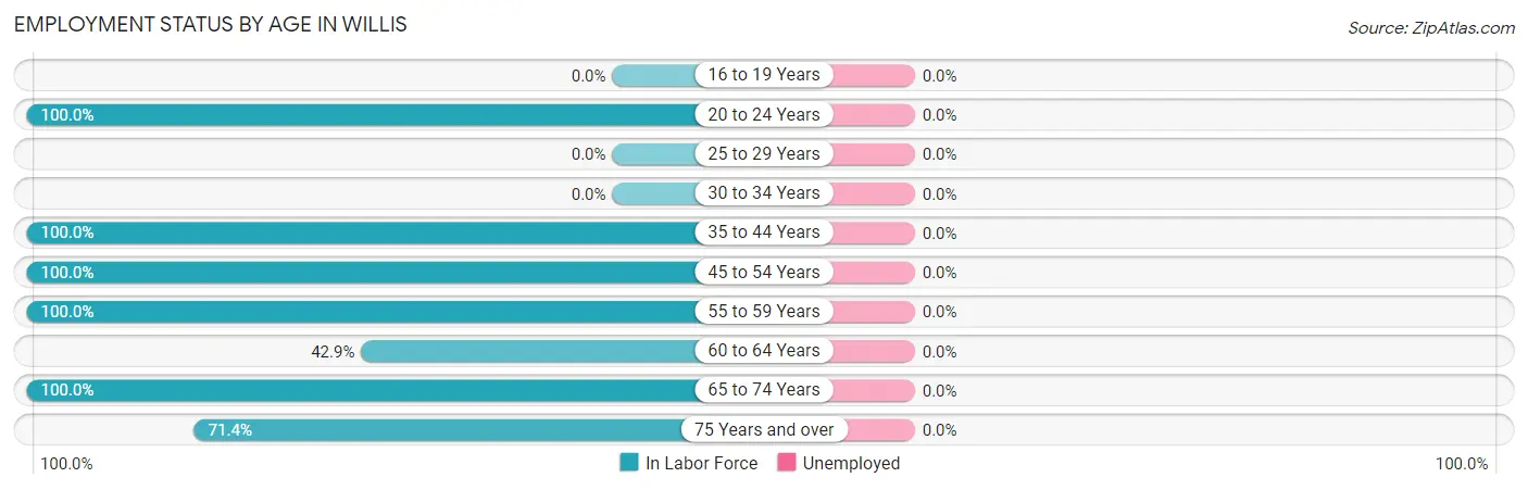 Employment Status by Age in Willis