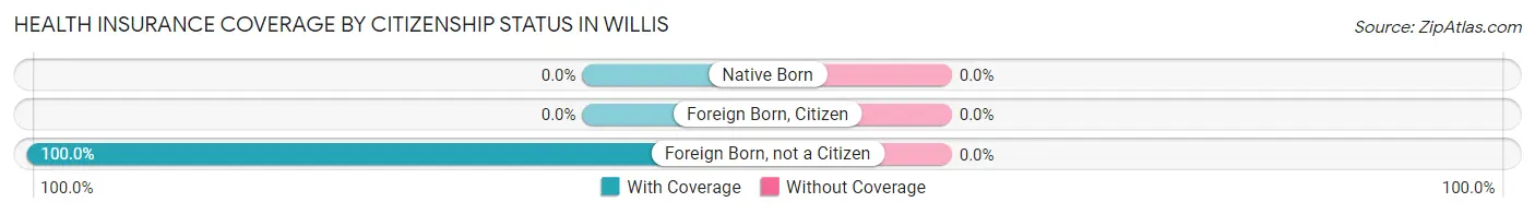 Health Insurance Coverage by Citizenship Status in Willis