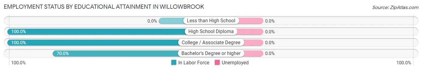 Employment Status by Educational Attainment in Willowbrook