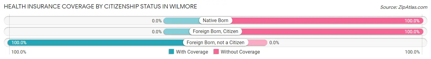 Health Insurance Coverage by Citizenship Status in Wilmore