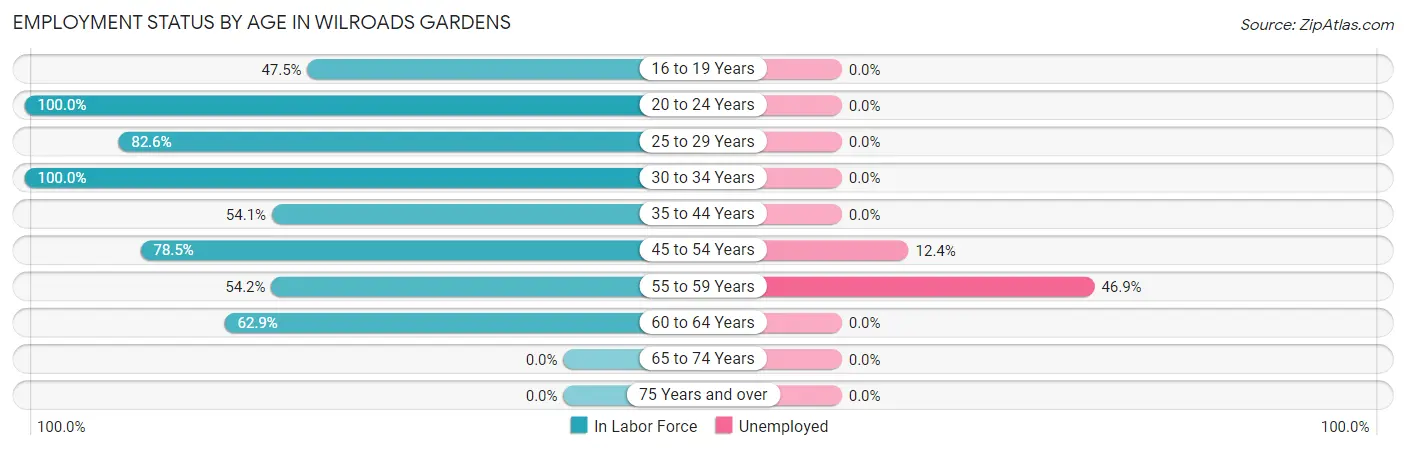Employment Status by Age in Wilroads Gardens