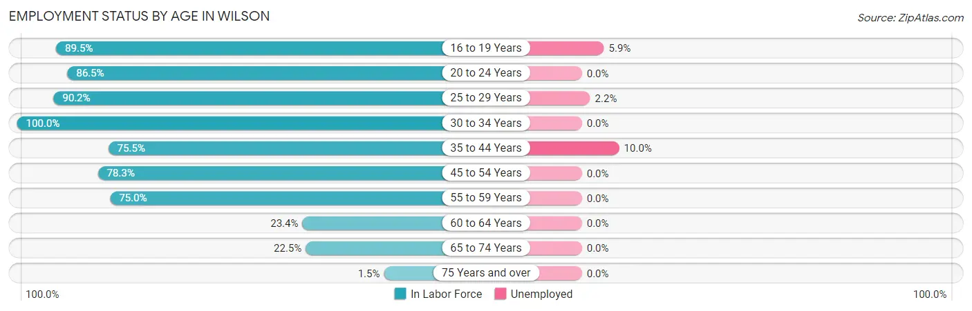 Employment Status by Age in Wilson