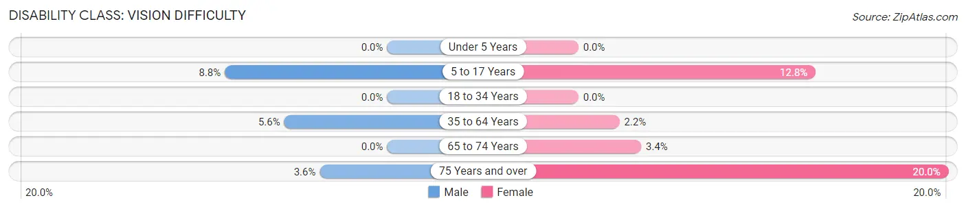 Disability in Wilson: <span>Vision Difficulty</span>