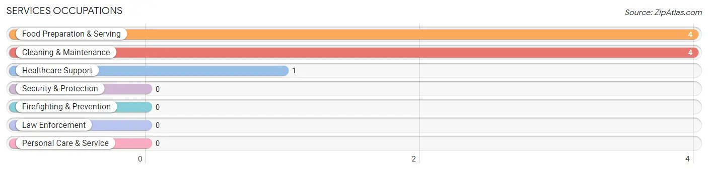 Services Occupations in Winona