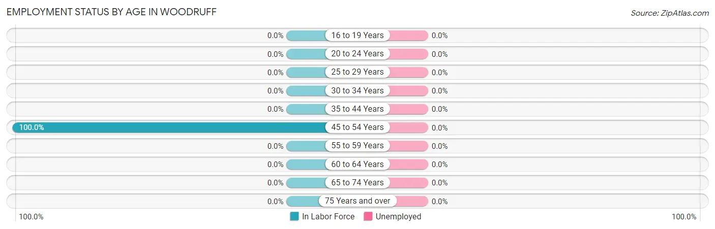 Employment Status by Age in Woodruff