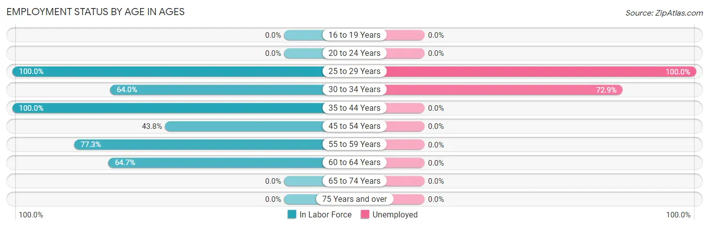 Employment Status by Age in Ages