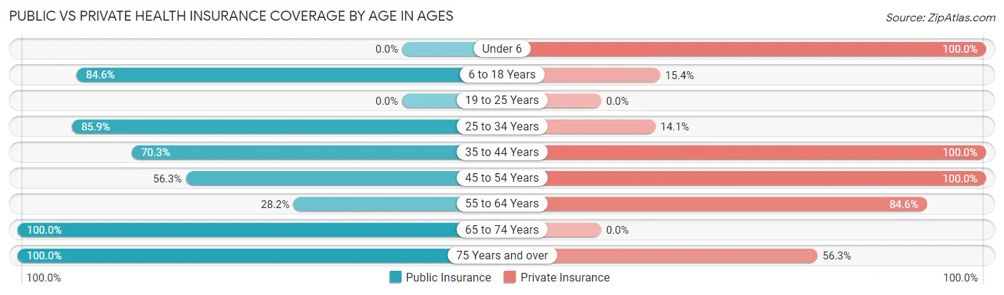 Public vs Private Health Insurance Coverage by Age in Ages