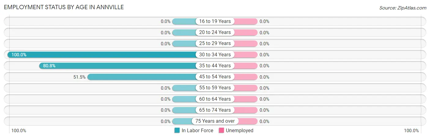 Employment Status by Age in Annville