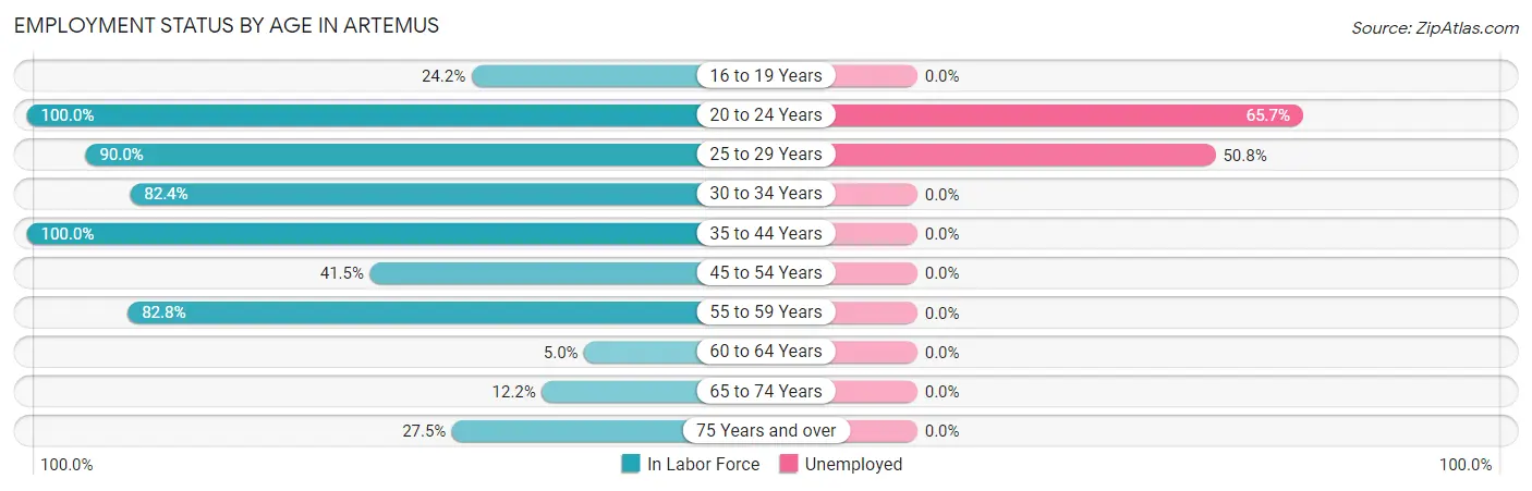 Employment Status by Age in Artemus