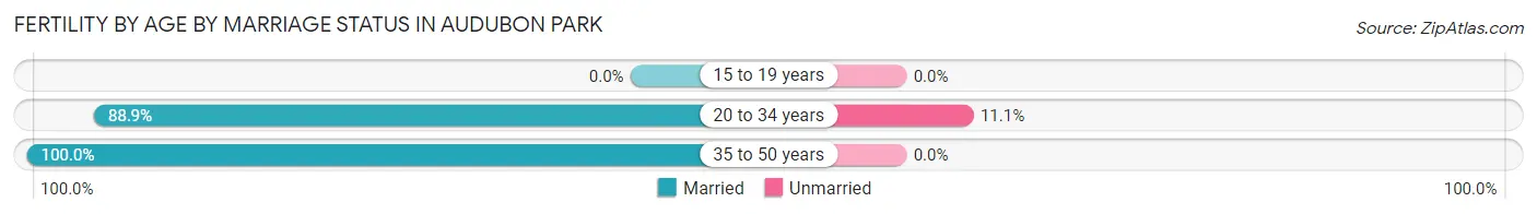 Female Fertility by Age by Marriage Status in Audubon Park
