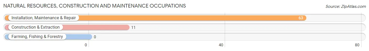 Natural Resources, Construction and Maintenance Occupations in Audubon Park