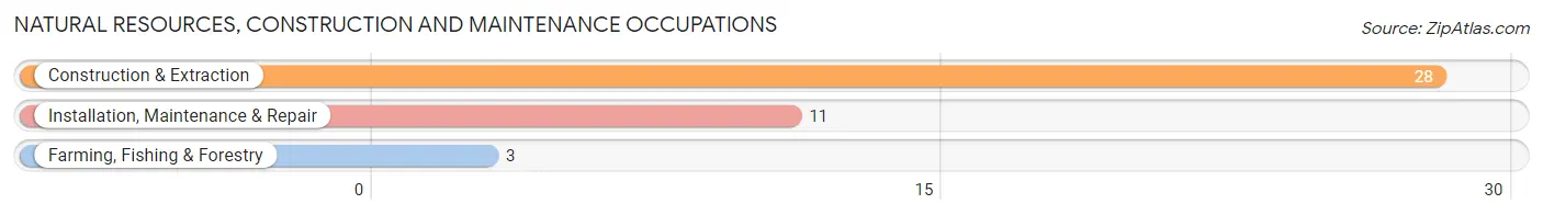 Natural Resources, Construction and Maintenance Occupations in Bardwell