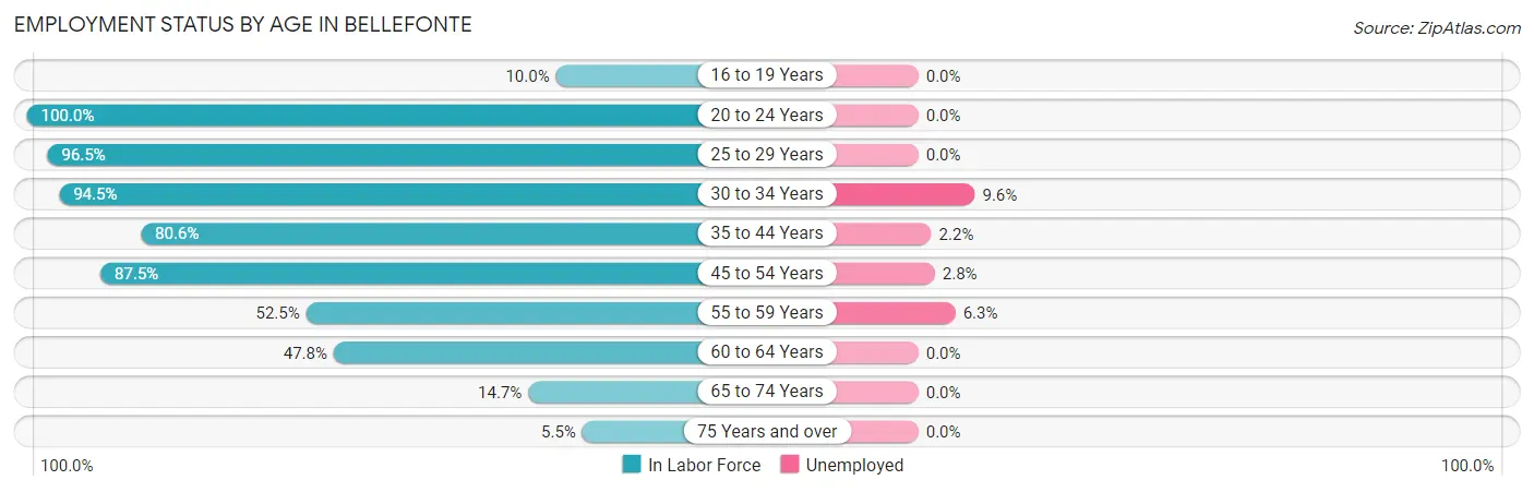 Employment Status by Age in Bellefonte