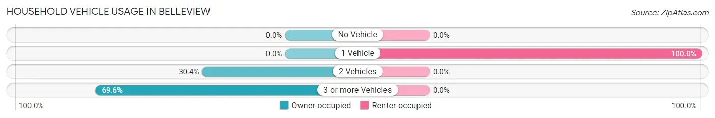 Household Vehicle Usage in Belleview