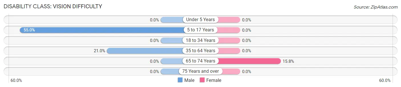 Disability in Betsy Layne: <span>Vision Difficulty</span>